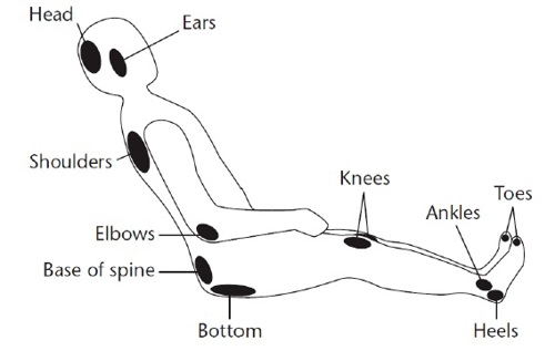 a human body with the Head Ears Shoulders Elbows Base of spine. Knees Toes Ankles Bottom Heels highlighted