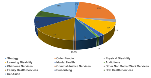 The proportion of expenditure on health and social care services: strategy 19%, learning disability 19%, childrens services 7%, family health services 16%, older people 25%, mental health 2%, criminal justice services 0%, prescribing 10%, physical disability, addictions 1%, other non social work services 1%, oral health services 6%